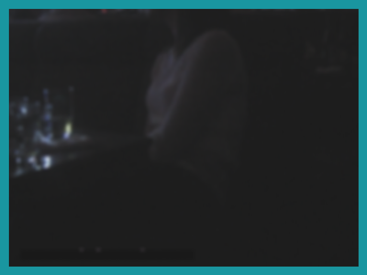 3c33098d0243c251269cac564edc0670_1743060354_867.png