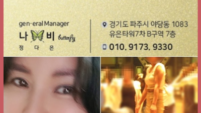 ▷ 야당스카이돔나이트 야당스카이돔나이트 언제나 그 자리에서 묵묵히 고객감동을 실현하는 저입니다
