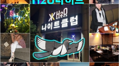 ♬ 청담에이치투오나이트  웨이터 만족감을 주는 확실합니다