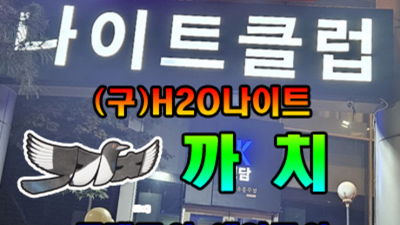 청담h2o나이트 믿을만한 프로서비스맨 고객감동을 실현할께요 강남물나이트 강남가라오케