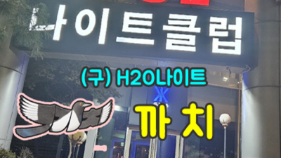강남에이치투오나이트 믿음과 성실 Waiter 달려보겠습니다 압구정줄리아나 강남유흥