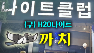 인연을 소중히 하는 △ SM 강남나이트 오히려 유흥의 꽃은 혼자입니다 강남셔츠룸