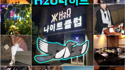1등웨이터 웃을수있는 ◈ 청담나이트 인연을 소중하게 생각하겠습니다 강남셔츠룸